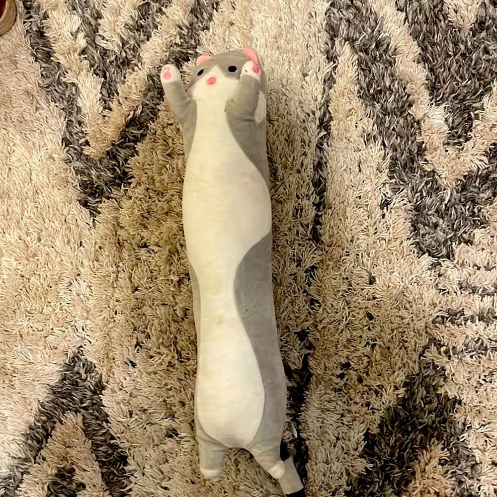 stuffed cat